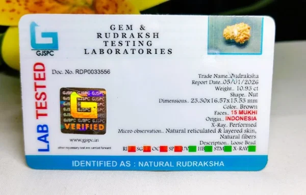 15 Mukhi Certificate