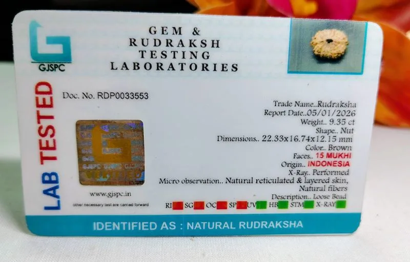 15 Mukhi Certificate