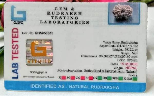 15 Mukhi Certificate