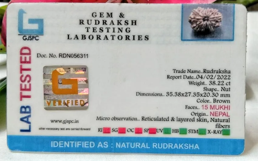 15 Mukhi Certificate