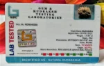 15 Mukhi Certificate