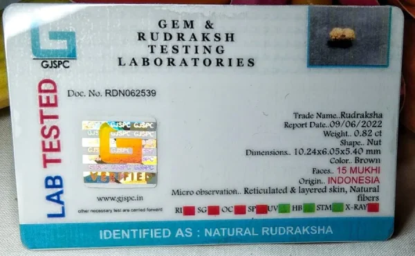 15 Mukhi Certificate