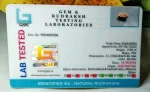 15 Mukhi Certificate