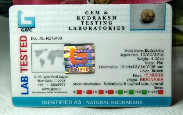 15 Mukhi Certificate