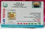 15 Mukhi Certificate