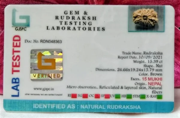 15 Mukhi Certificate