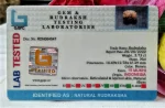 15 Mukhi Certificate