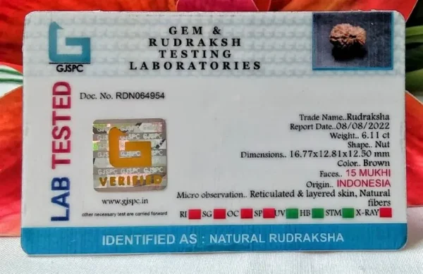 15 Mukhi Certificate