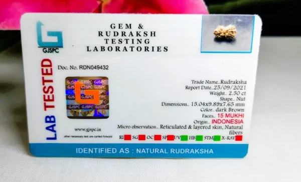 15 Mukhi Certificate