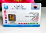 15 Mukhi Certificate