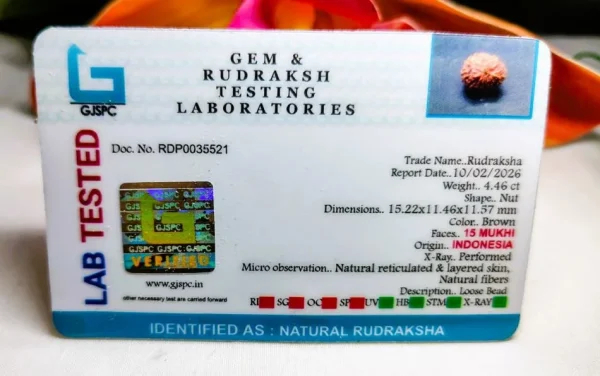 15 Mukhi Certificate