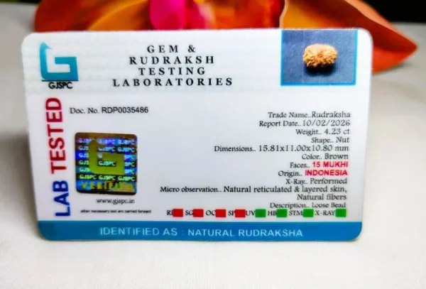 15 Mukhi Certificate