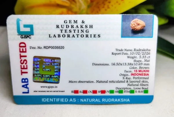 15 Mukhi Certificate