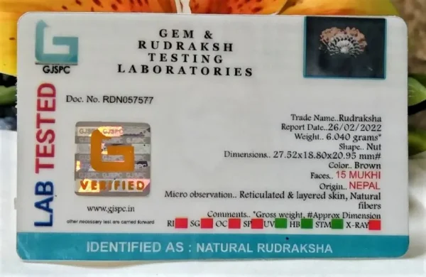 15 Mukhi Certificate
