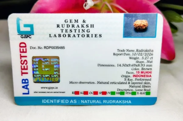 15 Mukhi Certificate