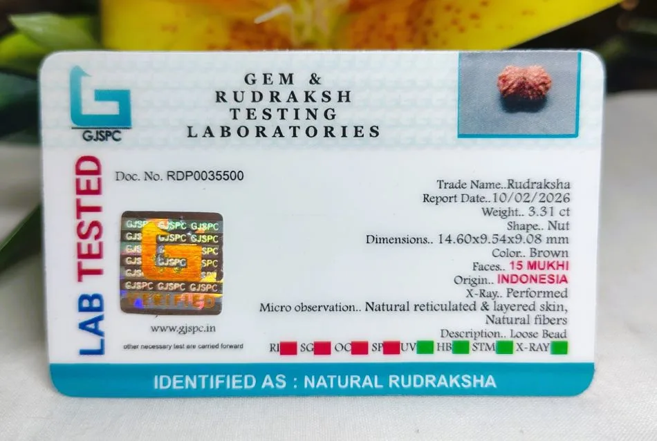 15 Mukhi Certificate