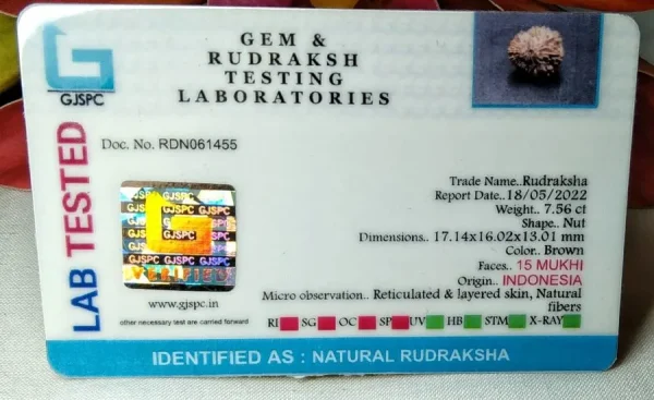 15 Mukhi Certificate