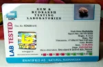 15 Mukhi Certificate