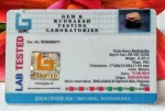 15 Mukhi Certificate