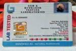 15 Mukhi Certificate