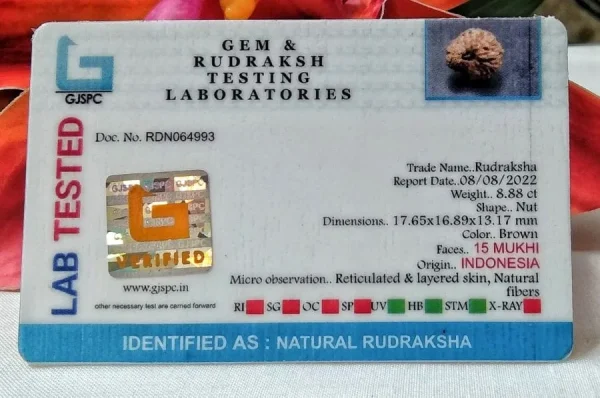 15 Mukhi Certificate