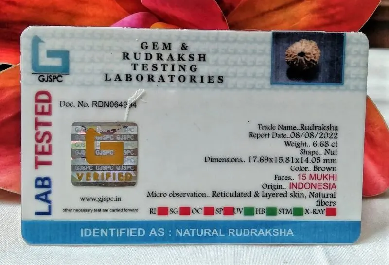 15 Mukhi Certificate