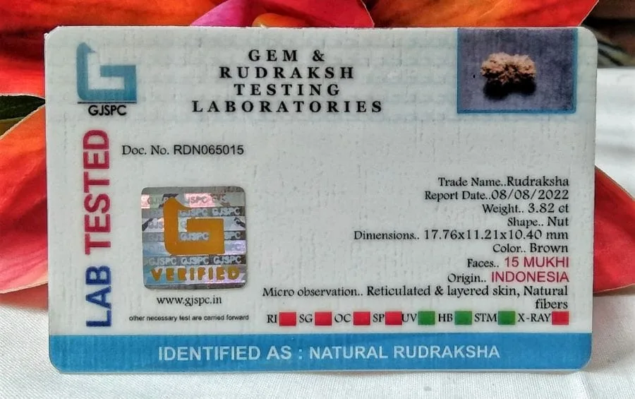 15 Mukhi Certificate