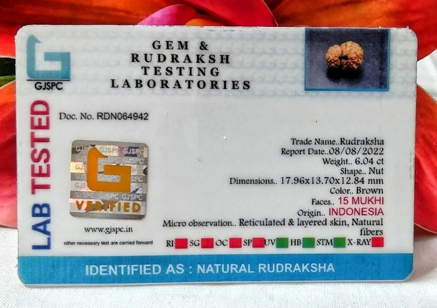 15 Mukhi Certificate
