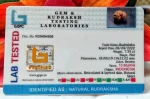 15 Mukhi Certificate