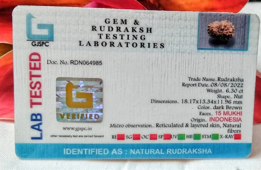 15 Mukhi Certificate
