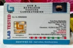 15 Mukhi Certificate
