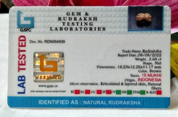 15 Mukhi Certificate