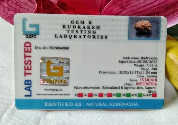 15 Mukhi Certificate