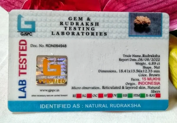 15 Mukhi Certificate