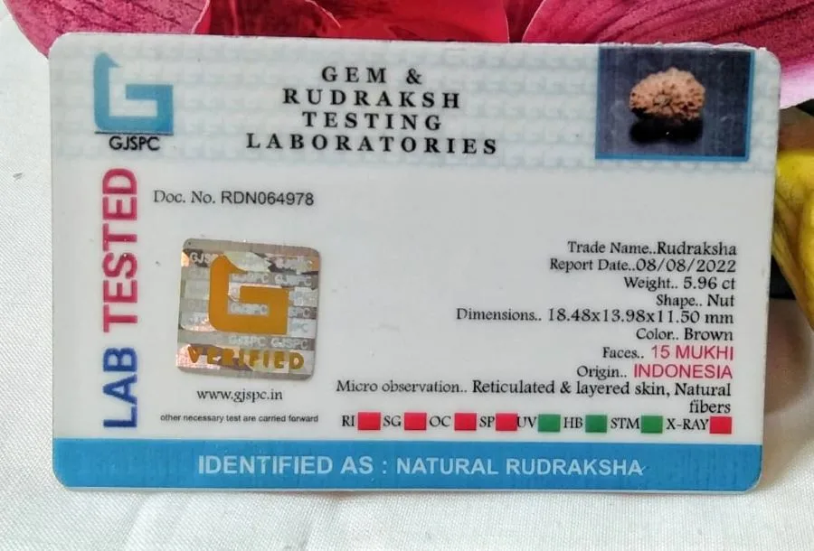 15 Mukhi Certificate