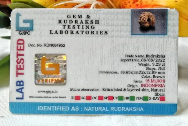 15 Mukhi Certificate