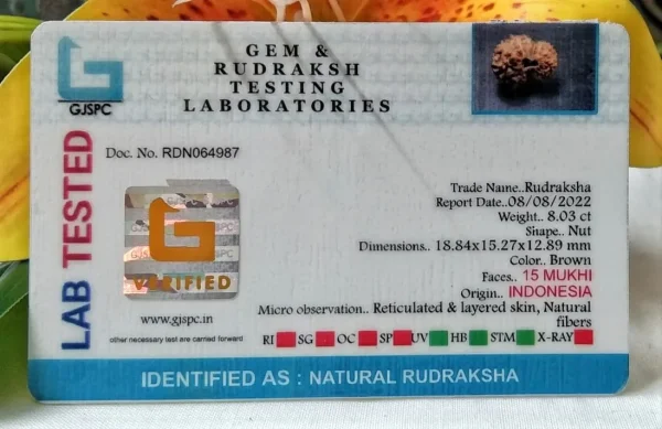 15 Mukhi Certificate