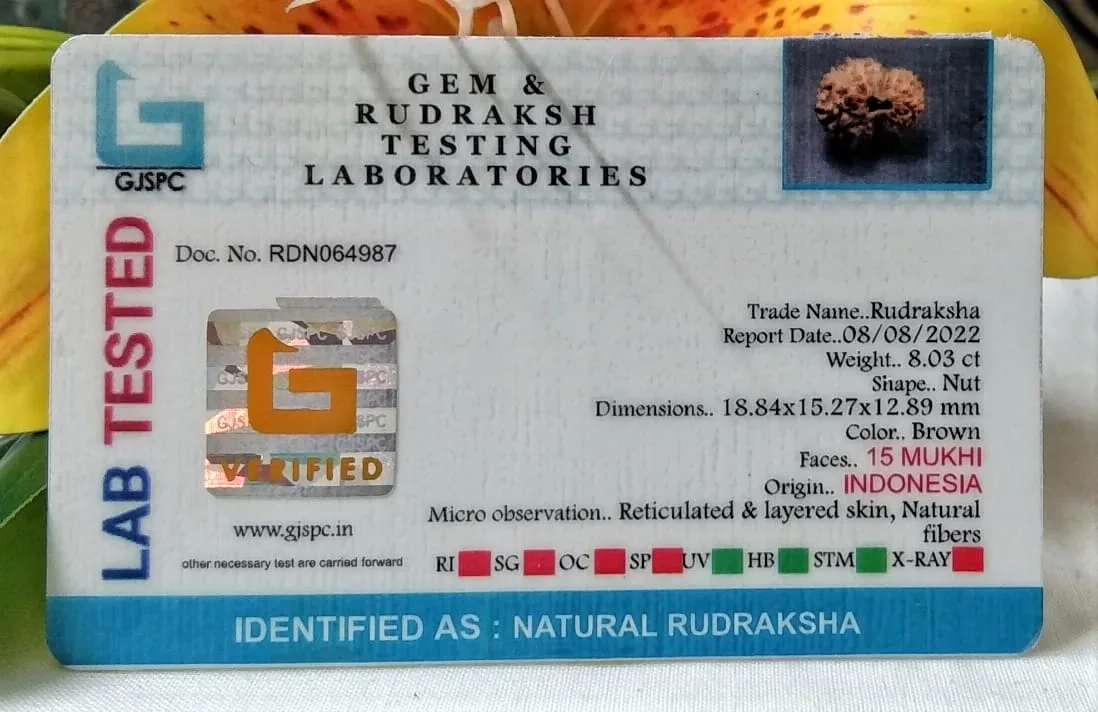 15 Mukhi Certificate