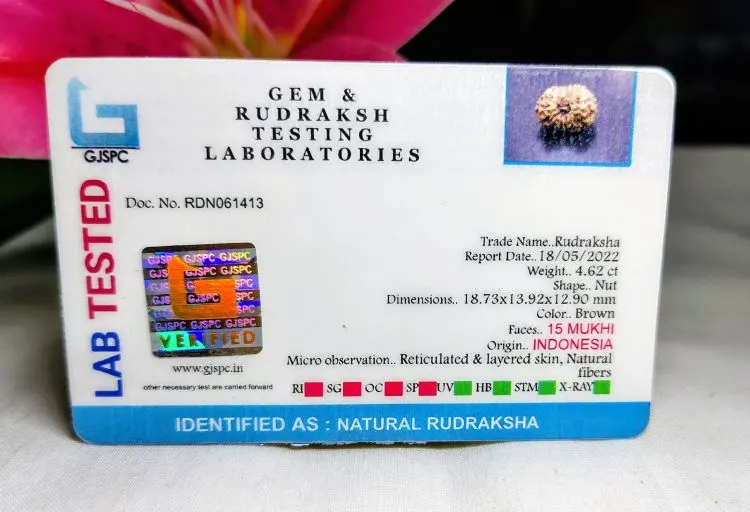 15 Mukhi Certificate