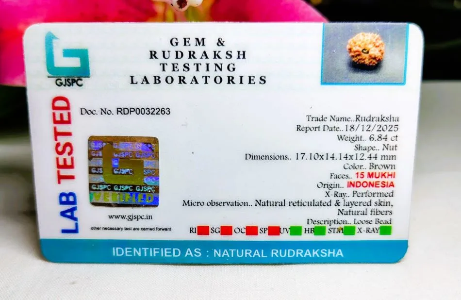 15 Mukhi Certificate