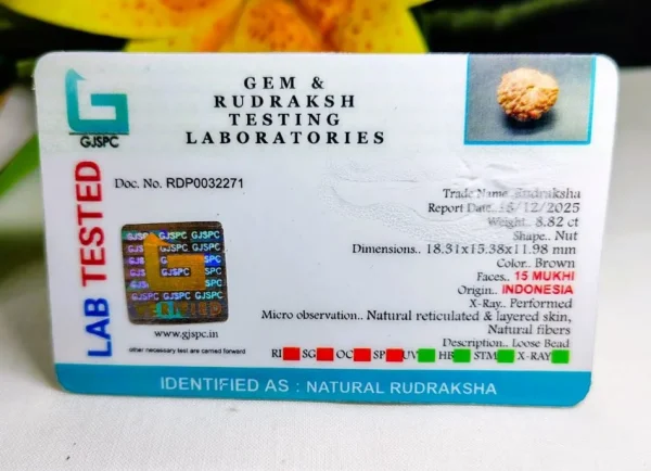 15 Mukhi Certificate