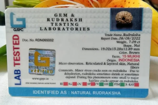 15 Mukhi Certificate