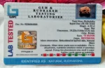 15 Mukhi Certificate