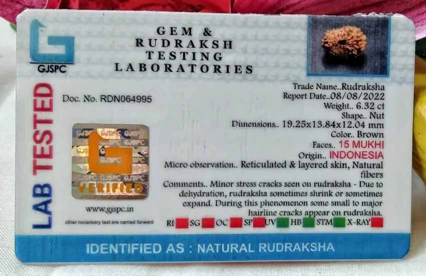 15 Mukhi Certificate