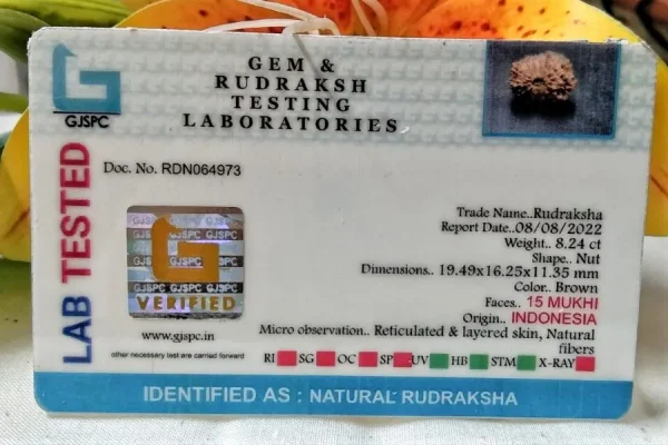 15 Mukhi Certificate