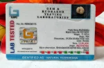 15 Mukhi Certificate