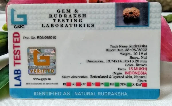 15 Mukhi Certificate