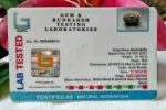 15 Mukhi Certificate