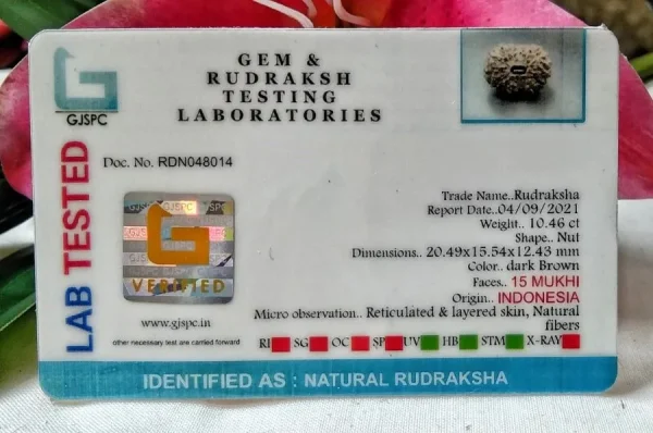 15 Mukhi Certificate