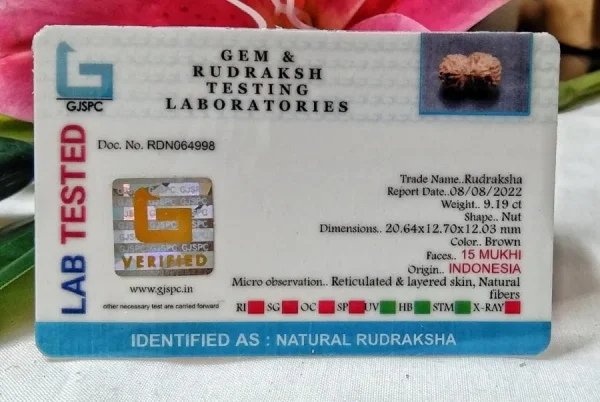 15 Mukhi Certificate